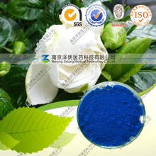 Gardenia Blue Color